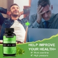 Artemisinin 500mg, 120 Vegan Capsules, Natural Detox for Bodily Systems Improve Immune Function Digestive Support Cellular Well-Being