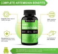 Artemisinin 500mg, 120 Vegan Capsules, Natural Detox for Bodily Systems Improve Immune Function Digestive Support Cellular Well-Being