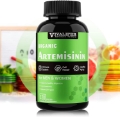 Artemisinin 500mg, 120 Vegan Capsules, Natural Detox for Bodily Systems Improve Immune Function Digestive Support Cellular Well-Being