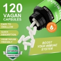 Artemisinin 500mg, 120 Vegan Capsules, Natural Detox for Bodily Systems Improve Immune Function Digestive Support Cellular Well-Being