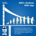VIVALIFER Liposomal NAD+ Supplement, NAD+ 500mg with TMG 250 mg for Ultra Max Absorption, Promotes Anti-Aging, Energy and DNA Repair, Brain Function - 120 Capsules