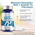 VIVALIFER Liposomal NAD+ Supplement, NAD+ 500mg with TMG 250 mg for Ultra Max Absorption, Promotes Anti-Aging, Energy and DNA Repair, Brain Function - 120 Capsules