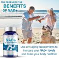 Picture of NAD+ Supplement 1500 mg - 120 Capsules (60 Day Supply) - True NAD+ & Resveratrol Supports Anti-Aging, Antioxidant Support, Metabolism & Energy Boost