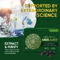 Picture of Organic Himalayan Shilajit Resin, 85+ Trace Minerals Complex for Focus & Energy, Overall Health, Immune Support