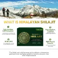 Picture of Organic Himalayan Shilajit Resin, 85+ Trace Minerals Complex for Focus & Energy, Overall Health, Immune Support
