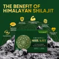 Picture of Organic Himalayan Shilajit Resin, 85+ Trace Minerals Complex for Focus & Energy, Overall Health, Immune Support
