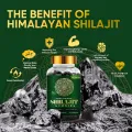 Picture of Himalayan Shilajit Resin Supplement