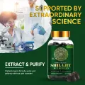 Picture of Himalayan Shilajit Resin Supplement