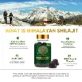 Picture of Himalayan Shilajit Resin Supplement